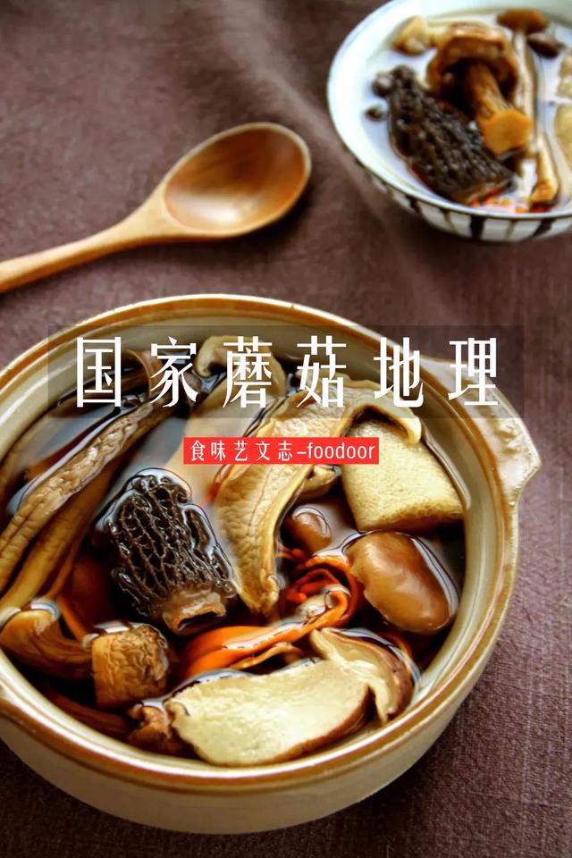 國家蘑菇地理：中國哪里的蘑菇最好吃？