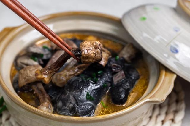 國家蘑菇地理：中國哪里的蘑菇最好吃？