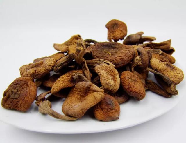 國家蘑菇地理：中國哪里的蘑菇最好吃？