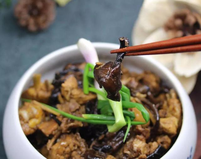 國家蘑菇地理：中國哪里的蘑菇最好吃？