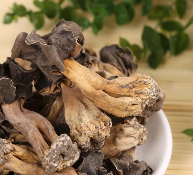 國家蘑菇地理：中國哪里的蘑菇最好吃？