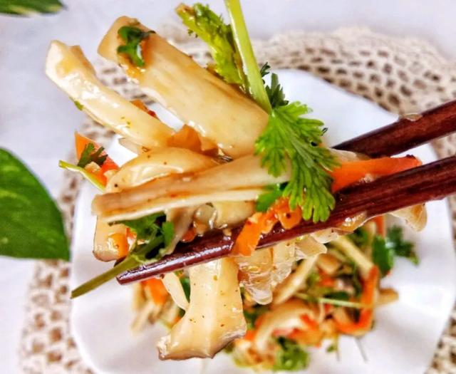 國家蘑菇地理：中國哪里的蘑菇最好吃？