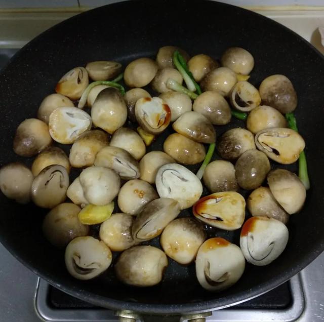 國家蘑菇地理：中國哪里的蘑菇最好吃？